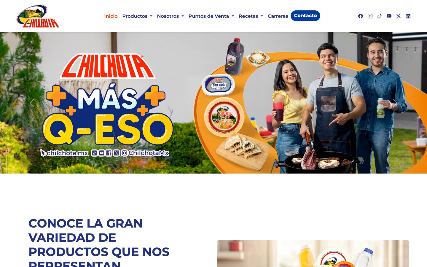 optimizacion de pagina web